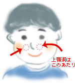 ��{���͐Ԃ��_���̕ӂ�ł�